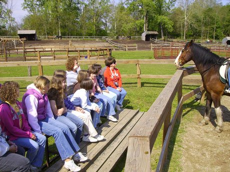 Girl scouts observing horseback riding
