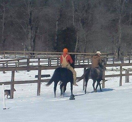 Two men training horses in the snow