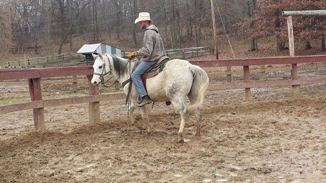 Man training a horse